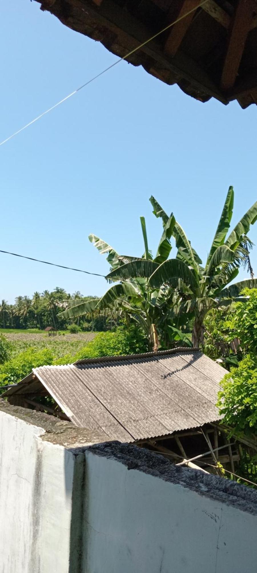 La Belle Vie Homestay Banyuwangi  Exterior photo